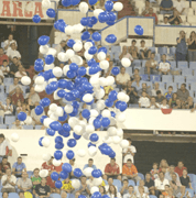 CASCADA DE GLOBOS